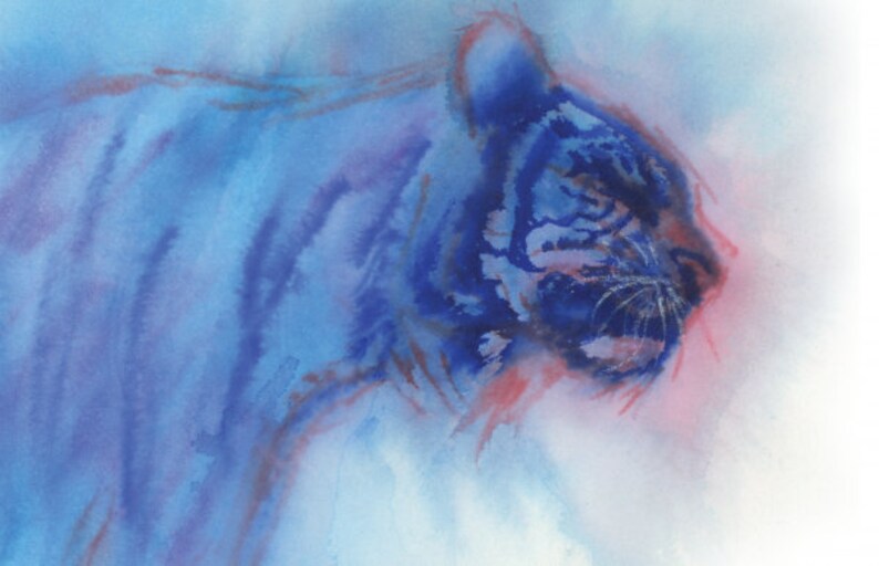 May include: Watercolor painting of a blue tiger with pink and white highlights. The tiger is facing to the right and its stripes are visible. The background is a light blue and white.