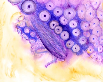 Octopus Art - Abstract Watercolor Painting - Octopus #03