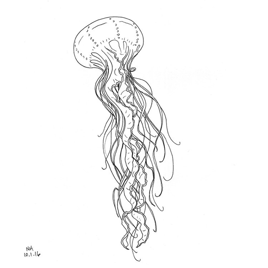 クラゲ　鉛筆画　原画 クラゲ 鉛筆画 原画 クラゲの下絵を鉛筆で描く🪼✏️ (本画は横向き