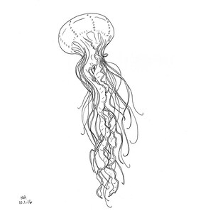 Jellyfish Sketch Print - No.201 Fast Jellyfish