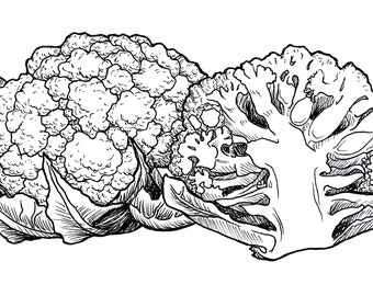 Cauliflower - Ink Drawing