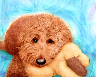 Labradoodle-portret