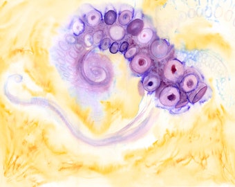 Octopus Artwork - Abstract Watercolor Painting - Octopus #06