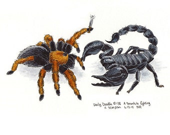 Tarantula & Scorpion Art Print / No.138 A tarantula fighting a scorpion
