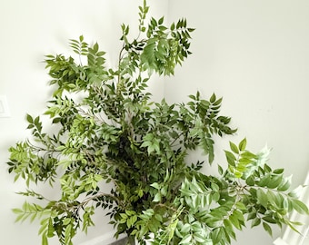 May include: A large arrangement of green leafy branches in a white vase. The leaves are a vibrant green, creating a full and lush appearance. The vase is simple and cylindrical, placed in the corner of a room.