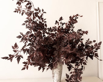 Könnte beinhalten: Ein dekoratives Arrangement aus dunkelburgunderfarbenen Blättern in einer gesprenkelten weißen Vase. Die Blätter haben ein zartes, geschichtetes Aussehen und erzeugen eine volle und strukturierte Darstellung. Die Vase ist zylindrisch und verleiht dem Blumenarrangement einen Hauch von Eleganz.