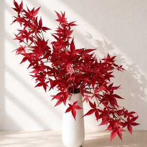May include: A tall, smooth, white ceramic vase holds a large, sprawling branch of vibrant red maple leaves. The foliage features the distinct, multi-pointed shape of Japanese maple leaves, extending outward in a wide, asymmetrical arrangement.