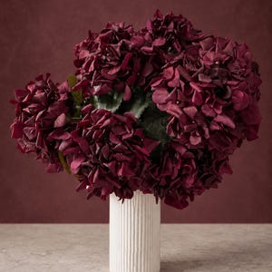 Pode incluir: Um buquê de flores de hortênsia em tom bordô profundo com folhas verde-escuras, disposto num vaso cilíndrico branco com textura canelada vertical. As cabeças das flores são densas e arredondadas, exibindo várias camadas de pétalas vermelhas.