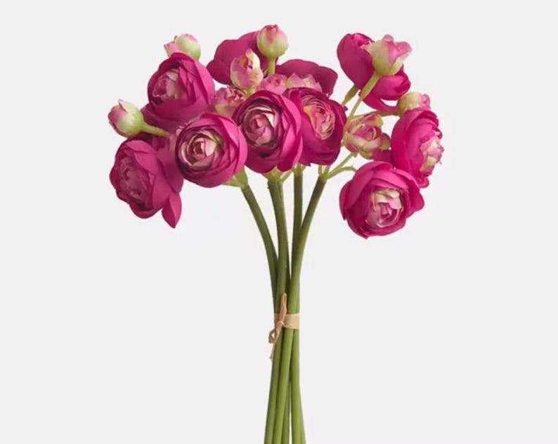 Magenta Ranunculus 10