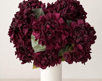 May include: A bouquet of deep burgundy hydrangea flowers with green leaves arranged in a white cylindrical vase featuring a vertical ribbed texture. The dense, rounded flower heads display multiple layers of petals in a dark, rich red hue.