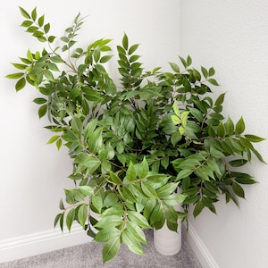 43” Artificial Tree Greenery Branch in Green, Faux Spring Foliage, DIY Centerpiece | Florals | Wedding | Home Design