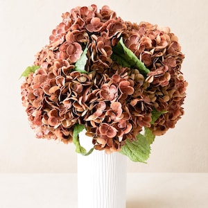 Puede incluir: Un gran ramo de hortensias color óxido con hojas verdes, dispuesto en un jarrón blanco cilíndrico y alto con una textura acanalada vertical. Las densas cabezas de las flores muestran múltiples capas de pétalos en tonos marrón y cobre.