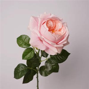 27.2” Artificial Real Touch Rose in Pink, Faux Spring Flowers, DIY Centerpiece |Florals |Wedding| Home Design
