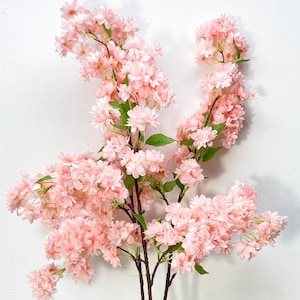 Blush pink cherry blossoms