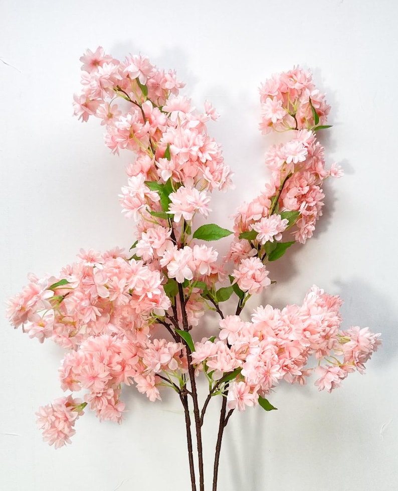 Blush pink cherry blossoms