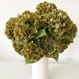 May include: A bouquet of olive green hydrangea flowers with green leaves in a white textured vase. The flowers are clustered together, creating a full, lush appearance. The vase is cylindrical and has a vertical, ridged pattern.