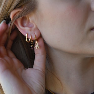 Gold Filled Earrings, Zodiac Earring, Birthstone Earring, Hoop Earring, Daily Minimalist Earrings, Dangle Earrings WATERPROOF Perfect Gift