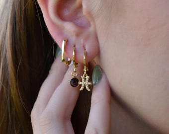 GOLD Earrings, Zodiac Earring, Birthstone Earring, Hoop Earring, Daily Minimalist Earrings, Dangle Earrings WATERPROOF Perfect Gift