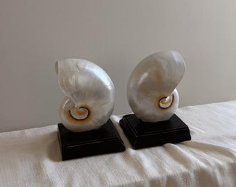 Vintage Black and White Seashell Bookends