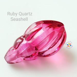 Può includere: Una conchiglia di quarzo rubino traslucida. Il guscio è di un colore rosa vibrante con una finitura liscia e lucida. Il testo "Ruby Quartz Seashell" è visualizzato in grigio chiaro. Il guscio ha una forma organica unica con creste e curve visibili.