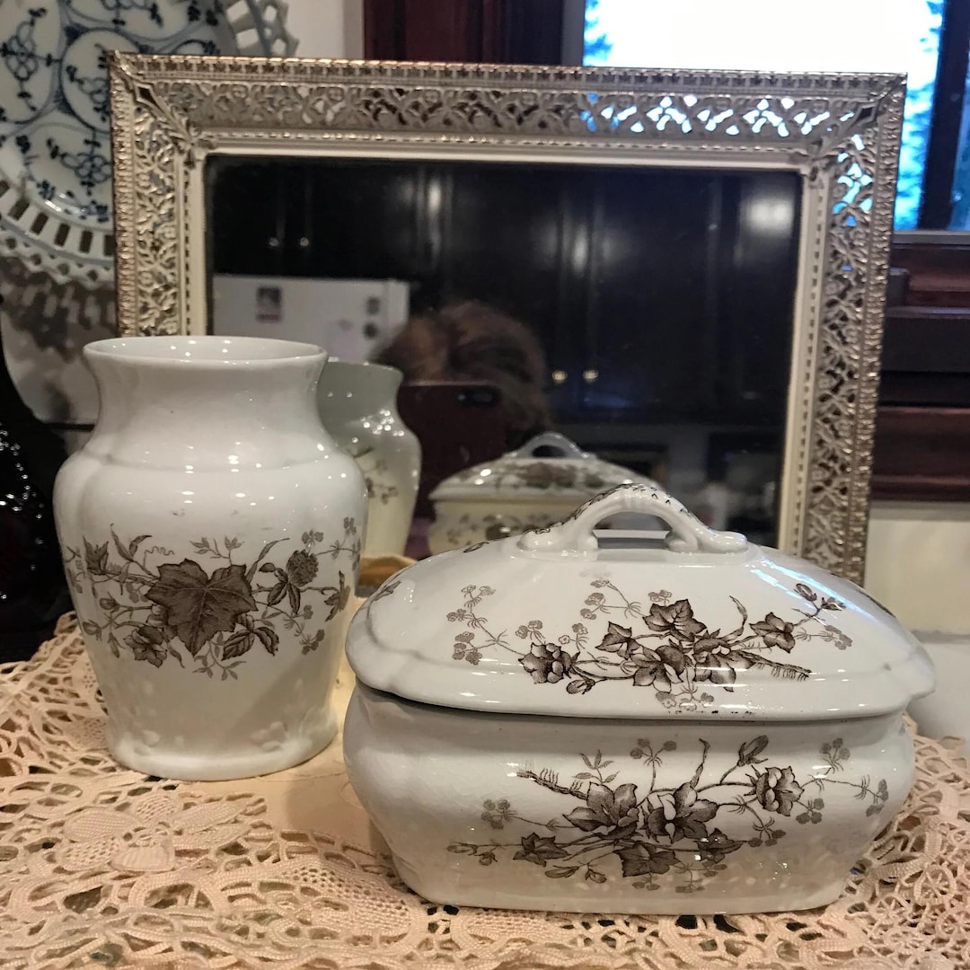Antique 1890s Ironstone J & G Meakin China Set - Etsy