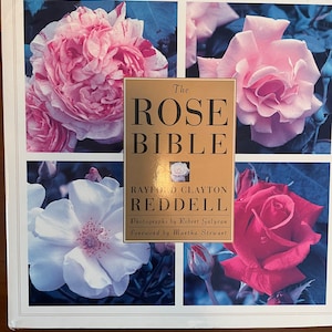 アート・デザイン・音楽 THE ROSE BIBLE Rayford Clayton Beddell This item is unavailable - Etsy