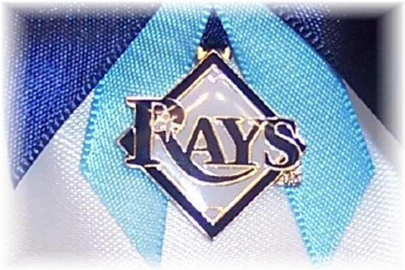 Tampa Bay Rays Wedding Garter Set with charms Handmade Keepsake and Toss Satin w-cnc