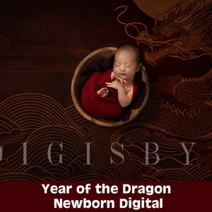 May include: A newborn baby is sleeping in a red swaddle inside a wooden bowl. The baby is surrounded by a red and gold dragon design. The text "Year of the Dragon Newborn Digital" is at the bottom of the image.