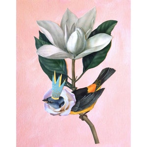 PRINT - Bird prints, botanical print, magnolia, vintage flower print, orioles, vintage bird prints, hostess gift, bird lover gift