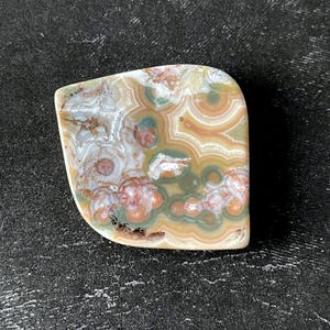 May include: A polished, irregularly shaped stone with a unique pattern. The stone features swirls of white, brown, green, and reddish-orange hues. The surface has a smooth, glossy finish, and the stone is set against a dark background.