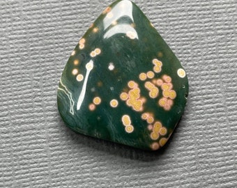 Ocean Jasper Cabochon