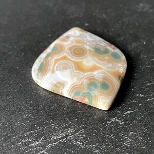 May include: A polished gemstone with a unique pattern of concentric circles in shades of beige, brown, green, and white. The stone has a smooth, rounded shape and is set against a dark background.