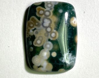 Ocean Jasper Cabochon