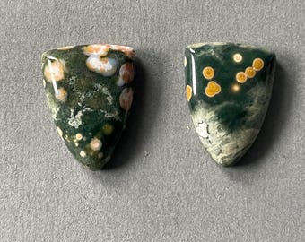 Ocean Jasper Cabochon Pair