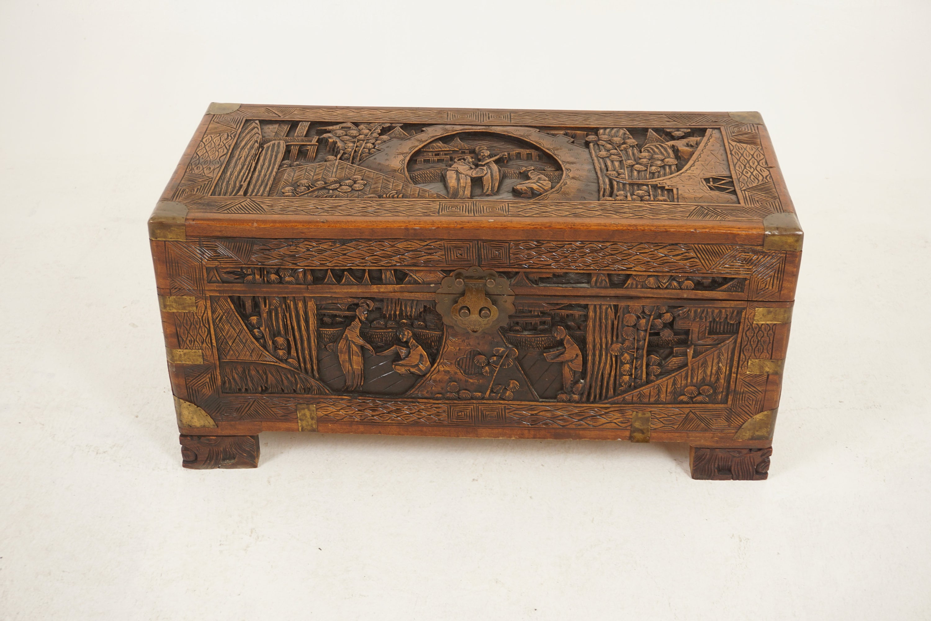 『完売品』Camphor Wood Camphor Burl Lumber – Cook Woods