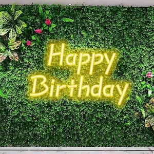 Placa de neon personalizada| Placa de neon| Placa de neon com nome personalizado| Placa de led| Placa externa| Arte de parede| Placa de casamento| Placa externa| Placa de aniversário| Placa interna