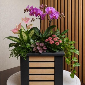 Puede incluir: Una jardinera cuadrada negra con listones de madera horizontales. Está llena de una variedad de plantas, incluyendo anturios rosas, orquídeas moradas y enredaderas verdes. La jardinera se encuentra sobre una base circular blanca.