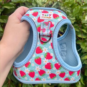 May include: A dog harness with a light blue background, featuring a pattern of red strawberries and white daisies. The harness has a blue trim and the text "Very Vintage" is visible. The harness has a mesh design for breathability.