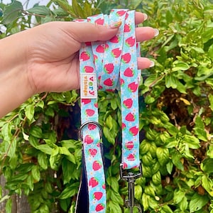 May include: A light blue dog leash with a repeating pattern of red strawberries. The leash has a silver metal clasp and a black padded handle. The tag reads "very vintage".