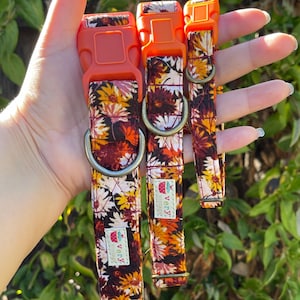 Autumn Dog Collar | Fall Pet Collar | Breakaway Cat Collar | Floral Dog Collar | Brown Daisies | Limited Design | Handmade in the USA