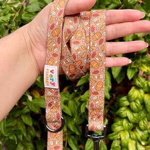 Pumpkin Spice Dog Leash | Fall Coffee Dog Lead | Recycled Nylon Leash | Cute Autumn Dog Accessory | Cozy Dog Gift | PSL Dog Leash | Dog Lead