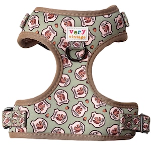 Squirrel Patrol Dog Harness – No Pull Dog Vest – Novelty Squirrel Print – Recycled Eco Friendly Dog Gear – Adjustable – Small to Large