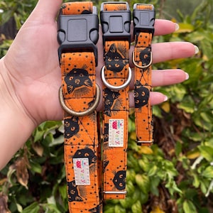 Midnight Meow kattenhalsband – zwarte kattenhalsband – afgescheiden Halloween-halsband – vintage Witchy Pet cadeau – biologisch katoen – handgemaakt in de VS