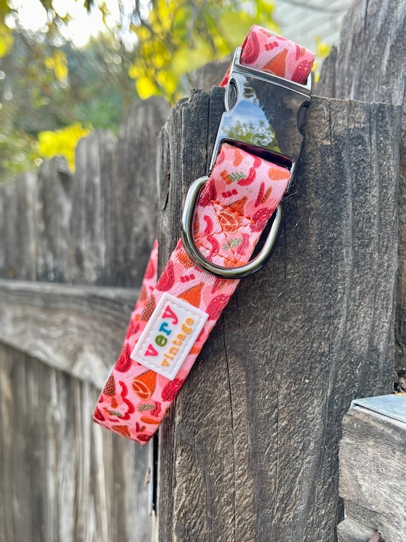 Meat Print Dog Collar | Funny Foodie Pet Collar, High Quality Hardware, Last Chance Sale