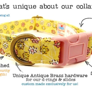 May include: A yellow cotton dog collar with a floral pattern and a pink side release buckle. The collar is made with organic cotton webbing and features unique antique brass hardware. The text "What's unique about our collars?" is at the top of the image.