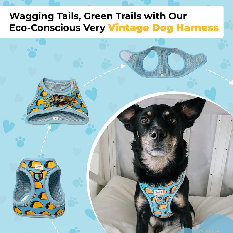 Personalized Dog Harness Taco Dog Harness Taco Cat Harness Harness Vest for Dogs Step in Harness Small Dog Harness Eco-friendly image 8