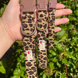 Wild Thing Dog Collar | Leopard Print Dog Collar | Adjustable Cat Collar | Animal Print Pet Collar | Handmade in Los Angeles | Cheetah Print