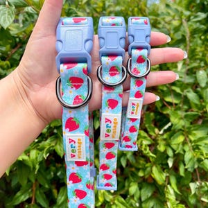 Strawberry Dog Collar | Cute Summer Collar | Adjustable | Recycled Dog Gear | Lightweight Dog Collar | Red Fruit Dog Gift | Kawaii Collar