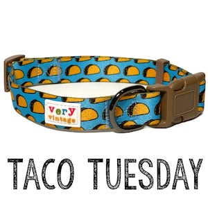 Dog Collar | Taco Dog Collar | Dog Lover | Dog Collar | Active Dog Collar | Webbing Dog Collar | Nylon Dog Collar | New Puppy Gift | Mexican