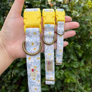 Daisy Dog Collar | Floral Dog Collar | Gray Dog Collar | Spring Pet Collar | Adjustable Dog Collar | Cute Collar for Dogs & Cats | LA Made